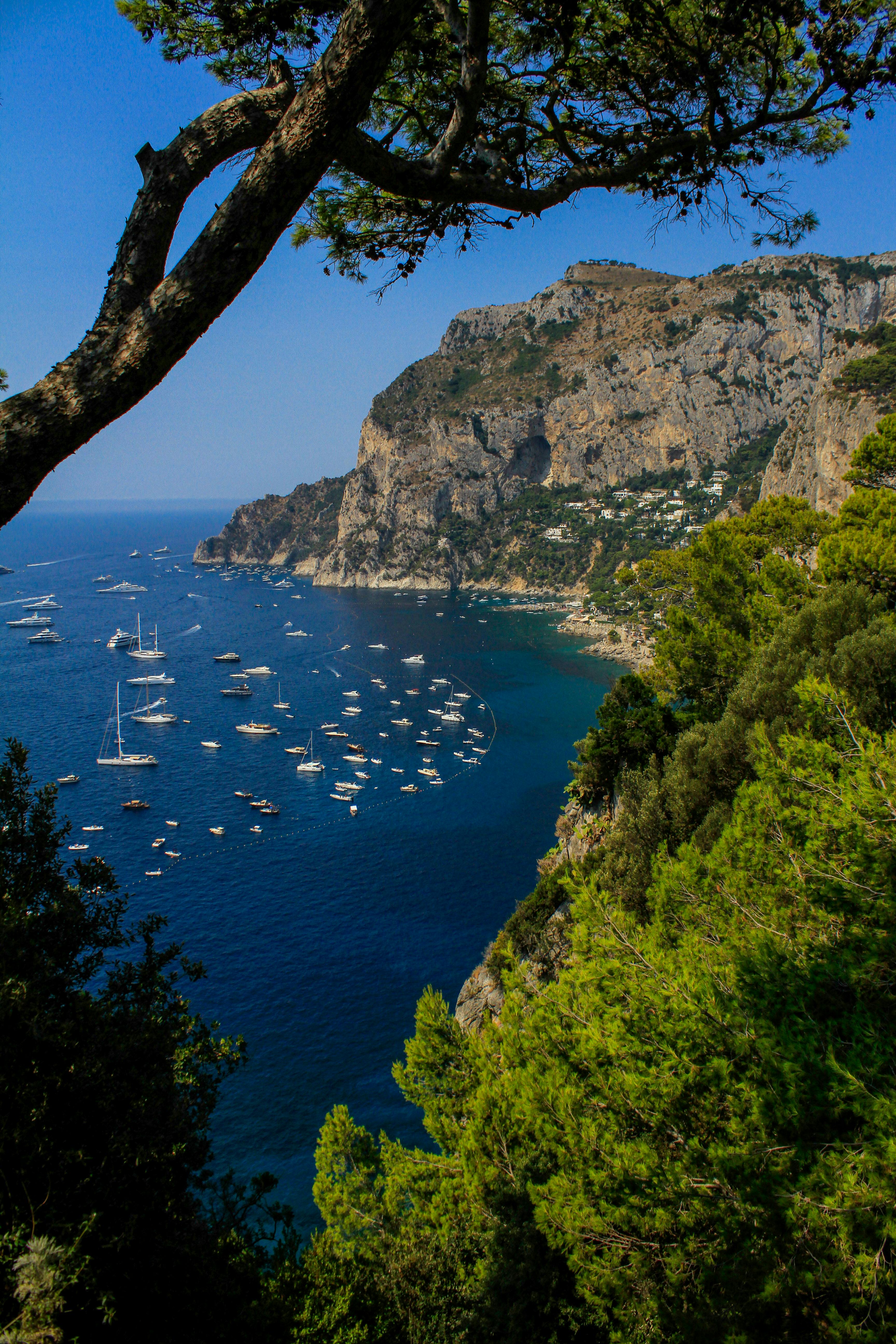 Capri's Faraglioni rocks rising from the Tyrrhenian Sea — the geological signature that anchors the island's identity.