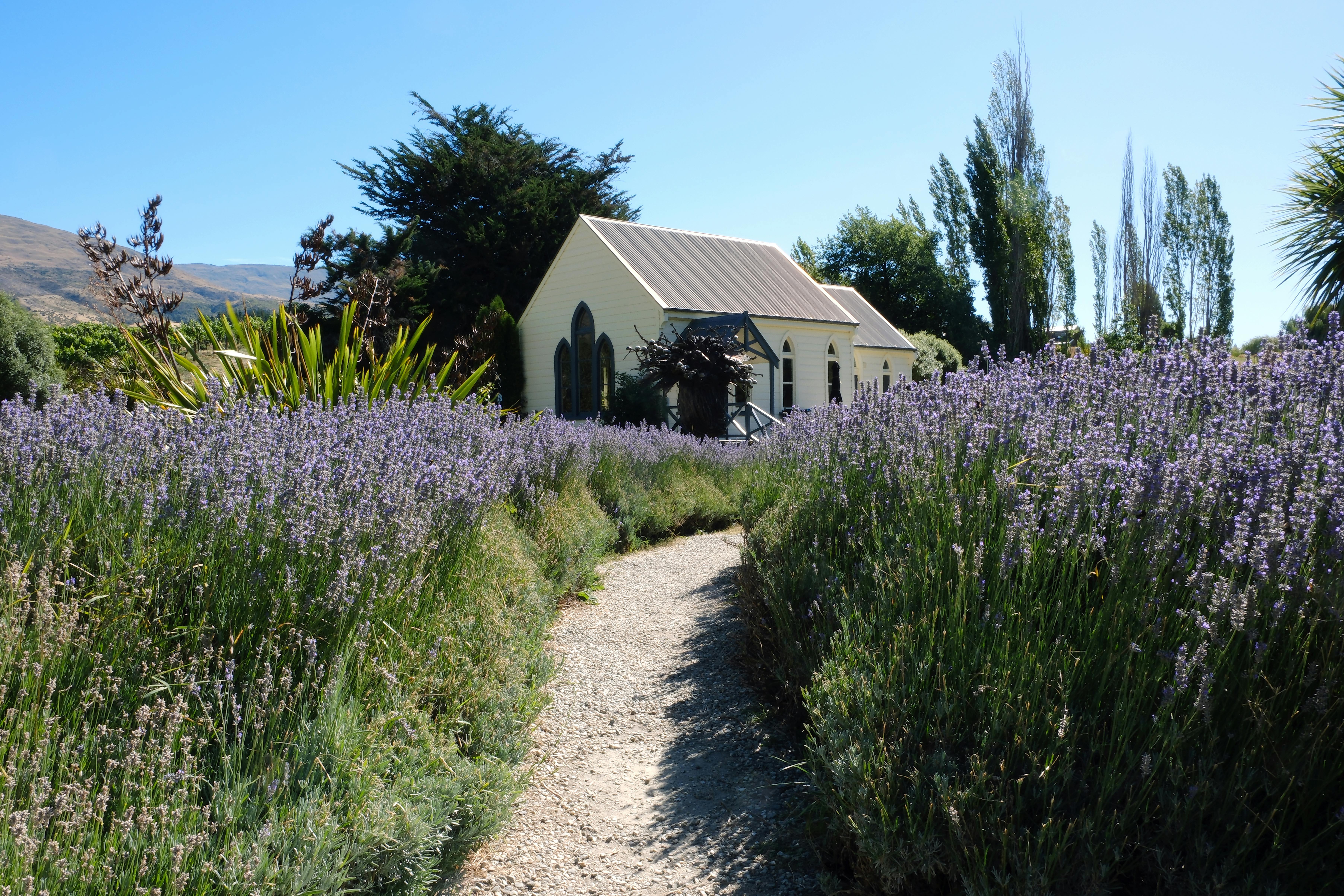 Arrowtown's preserved gold-rush village — autumn foliage on the cottages of Buckingham Street, the most-photographed scene in Otago.