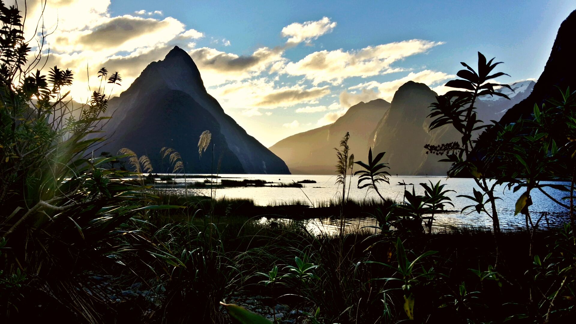 Milford Sound with Mitre Peak silhouetted at golden hour — the fjord that is the destination of the Queenstown day trip.
