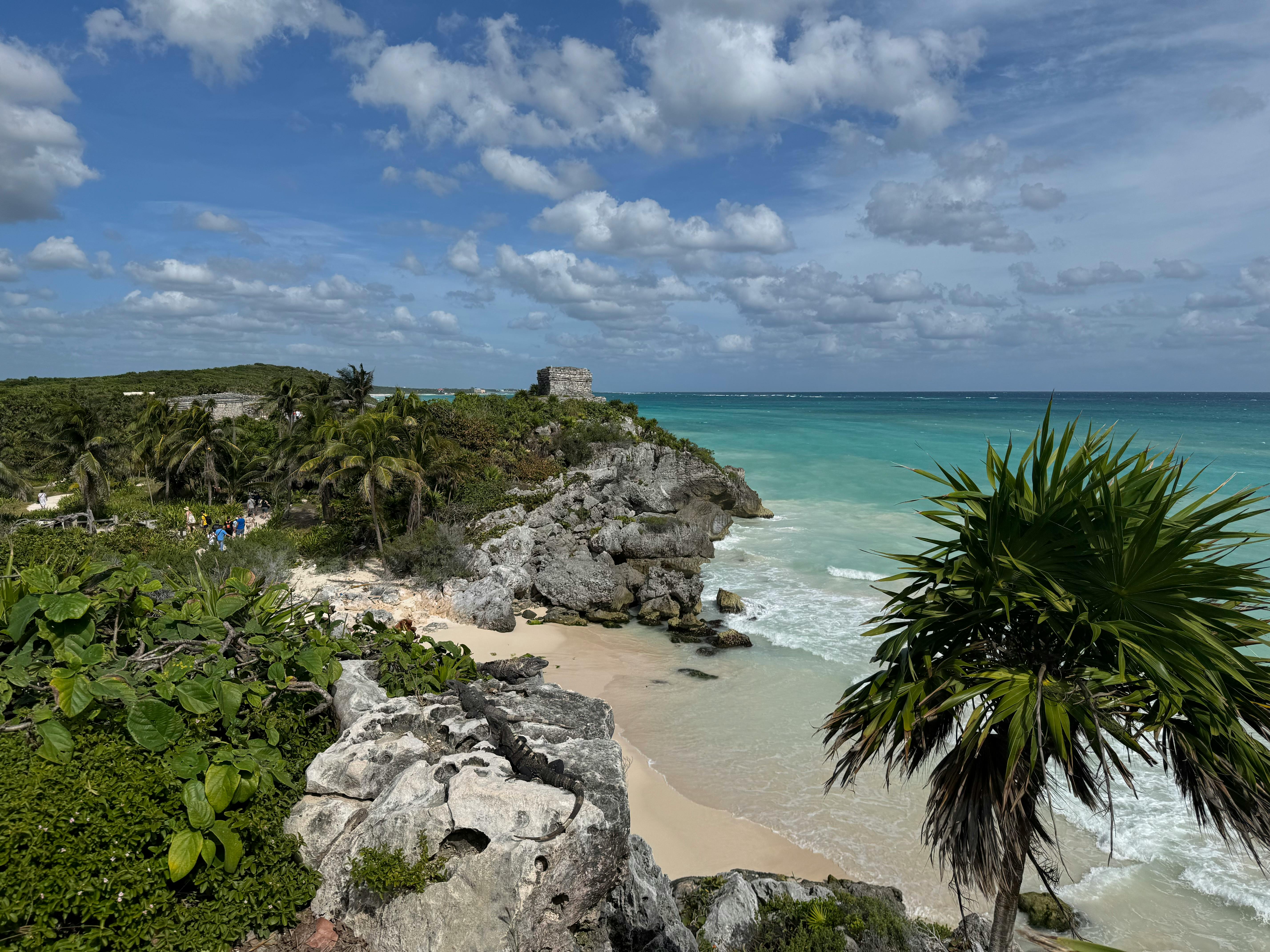 A Tulum beach with palm trees and turquoise water — the Caribbean-edge setting that makes Tulum a top digital-nomad destination.