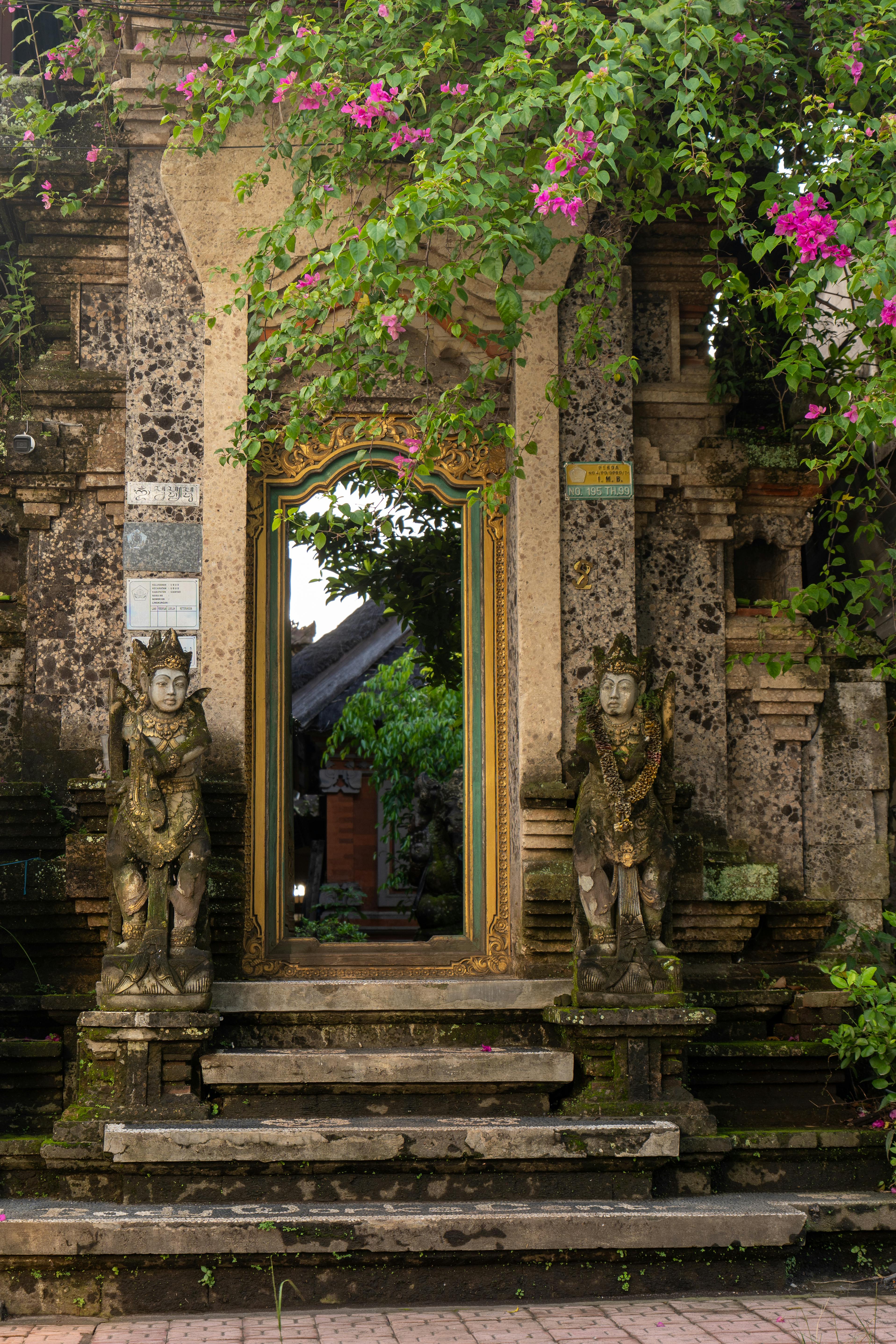 Ubud's terraced rice fields with jungle behind — the agricultural-aesthetic landscape that defines the cultural sister to Canggu's beach scene.